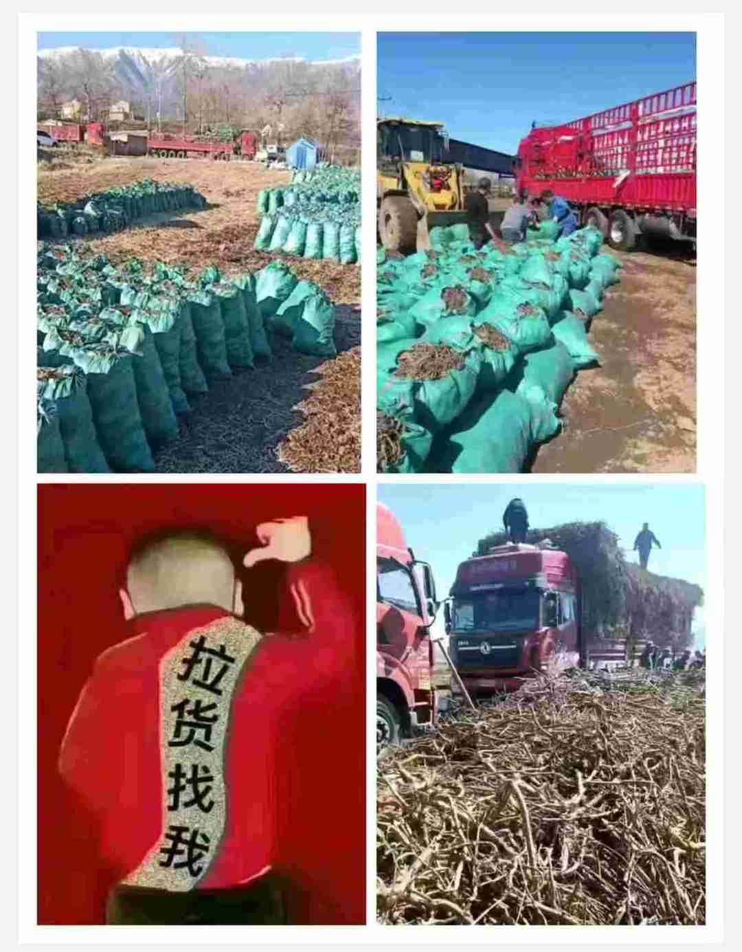 勇闯物流