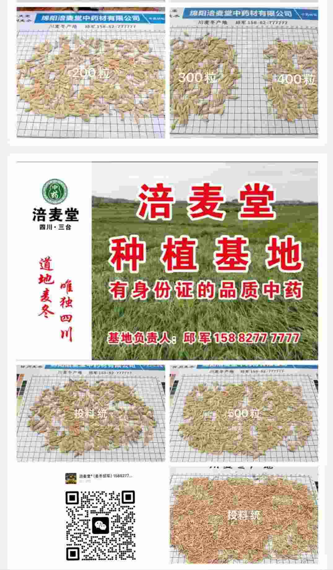 麦冬