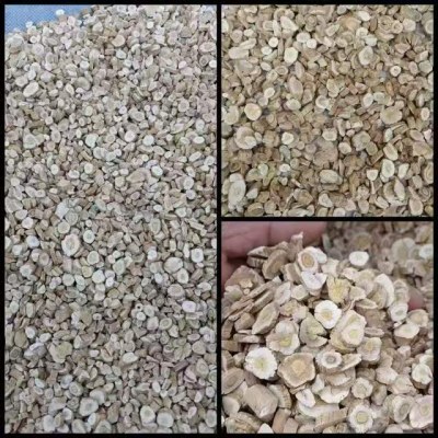 出售：板蓝根、莱菔子
