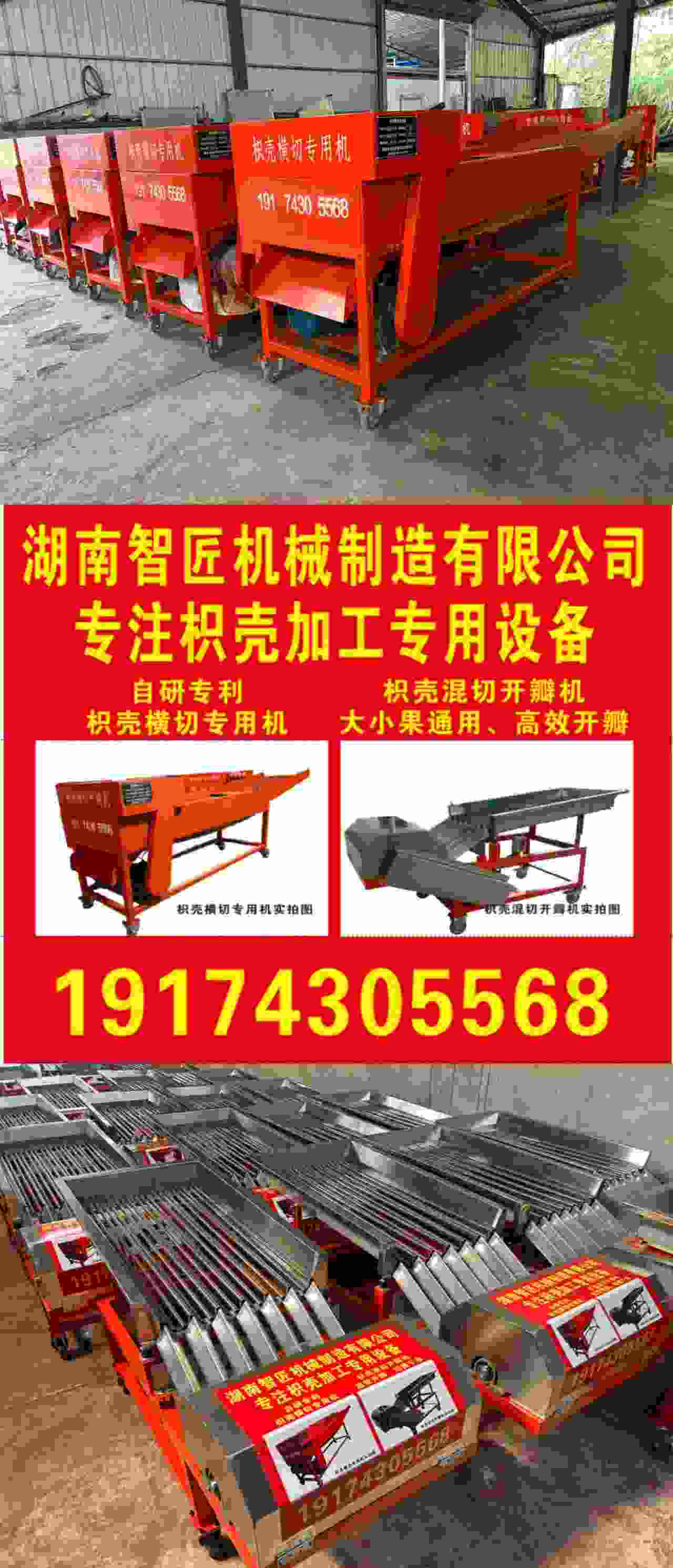 枳壳加工设备