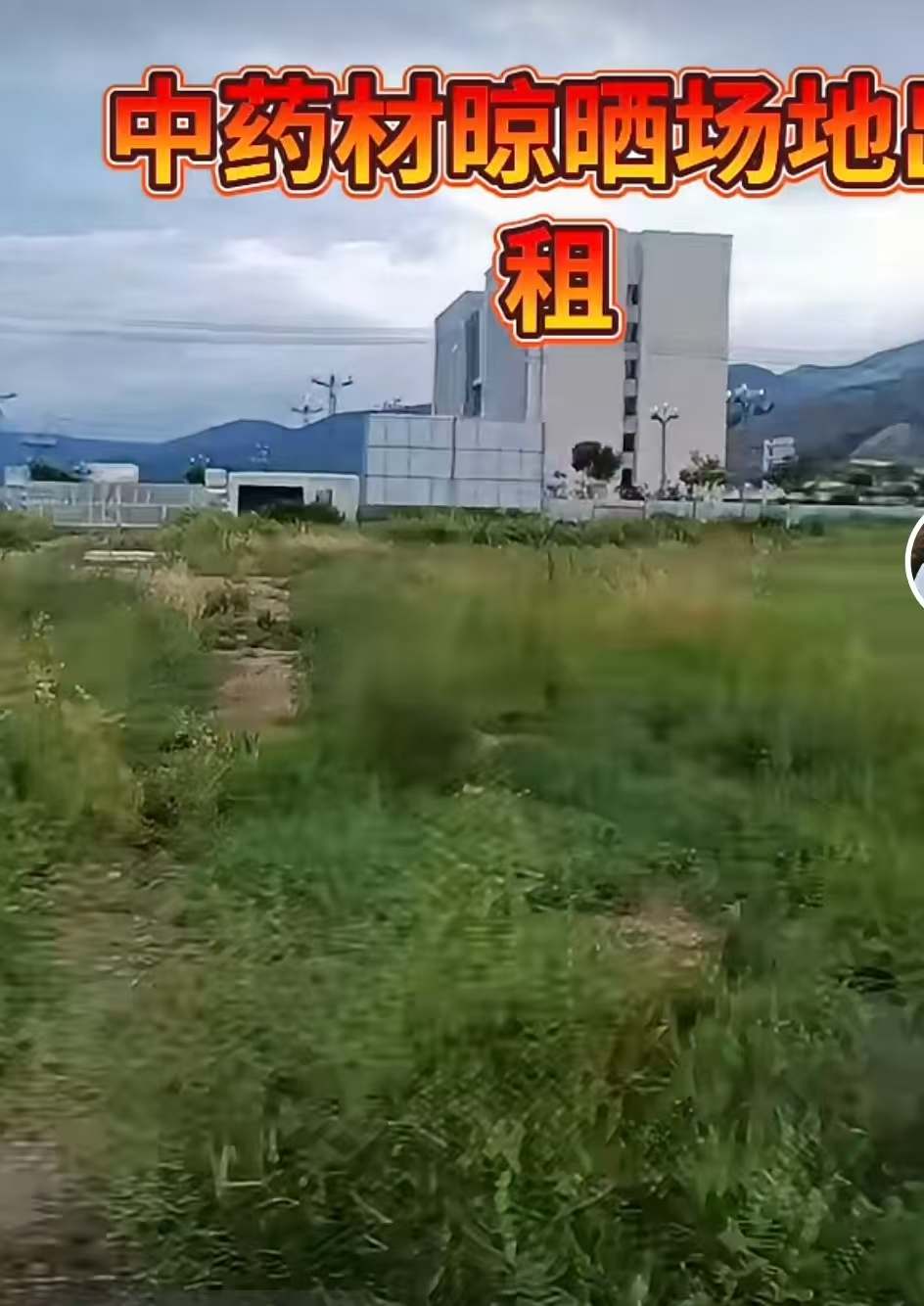 岷县中药材晾晒场地出租