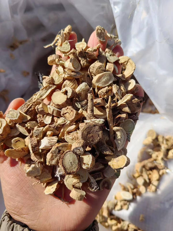出售黄芪圆片下料